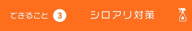 できること3 シロアリ対策