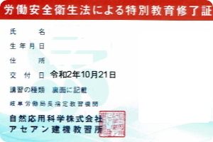 足場の組立等作業従事者