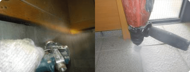 シロアリ被害の確認