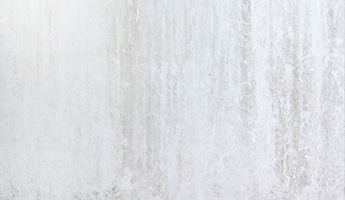 カビやコケの繁殖