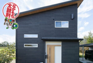 ダイフレックス ダイヤスーパーセランFX