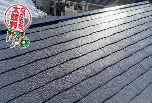 無機プラン 無機エクスカリバーMZ-R