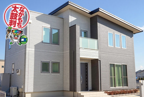 無機プランB  無機エクスカリバーZ