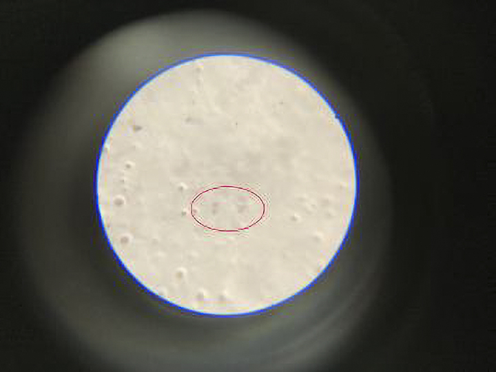 外壁を90倍スコープで拡大した光触媒の銀や銅の様子です。