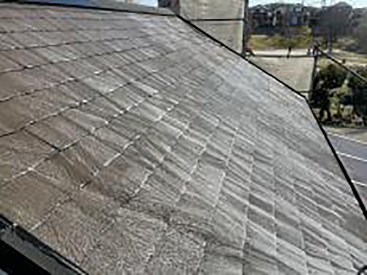 バイオ液を塗布します。