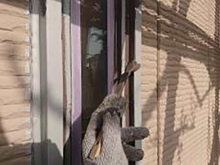 一部窓仕上げ1回目を行います。