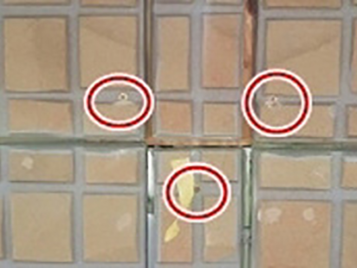 外壁をビス押さえしました。