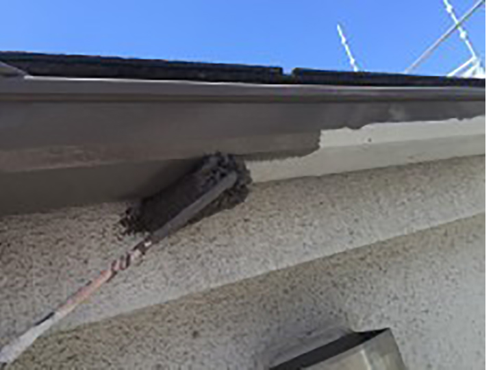 雨樋仕上げ1回目を行います。