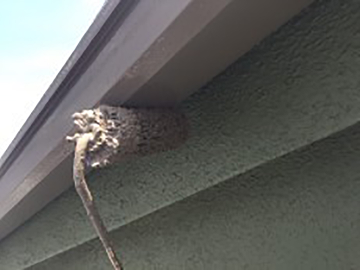 雨樋仕上げ2回目を行います。