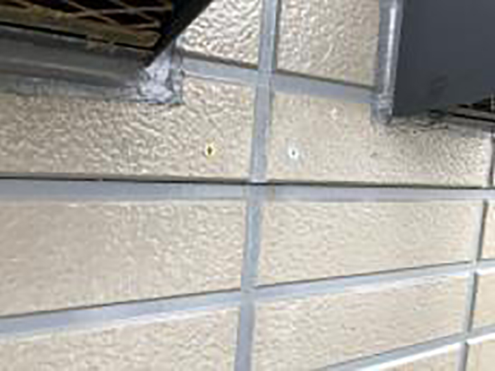 外壁をビス押さえしました。