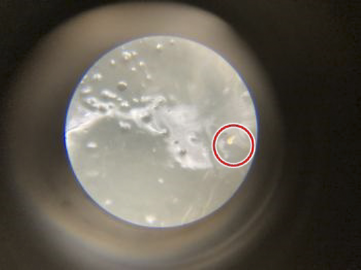 東西外壁部を90倍スコープで拡大した光触媒の銀や銅の様子です。