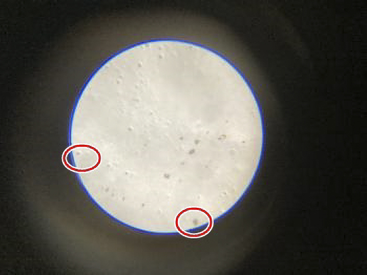 南北外壁を90倍スコープで拡大した光触媒の銀や銅の様子です。
